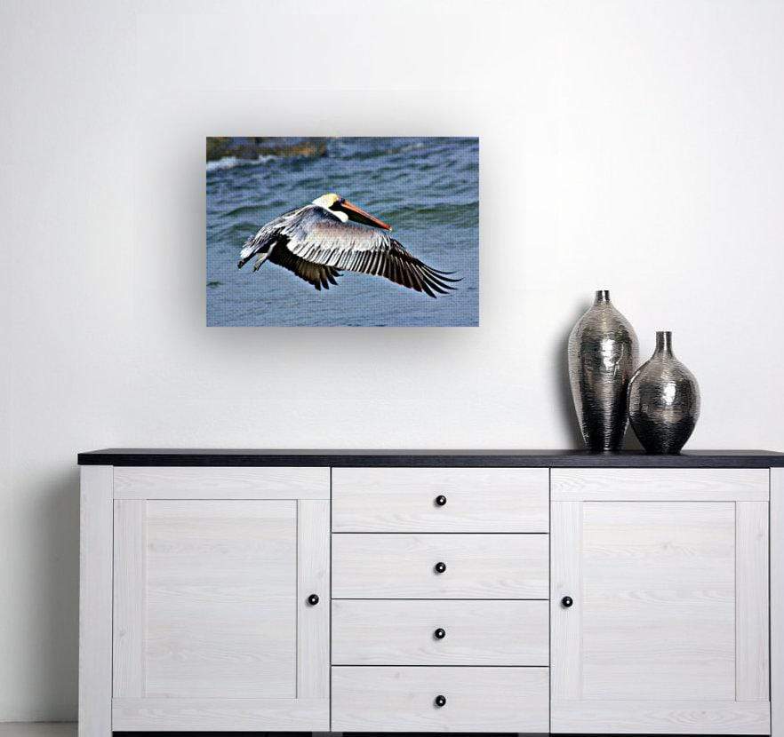 drewsrainbows Illustrations Flying Florida Pelican Like Picasso-Monet-van Gogh-Matisse