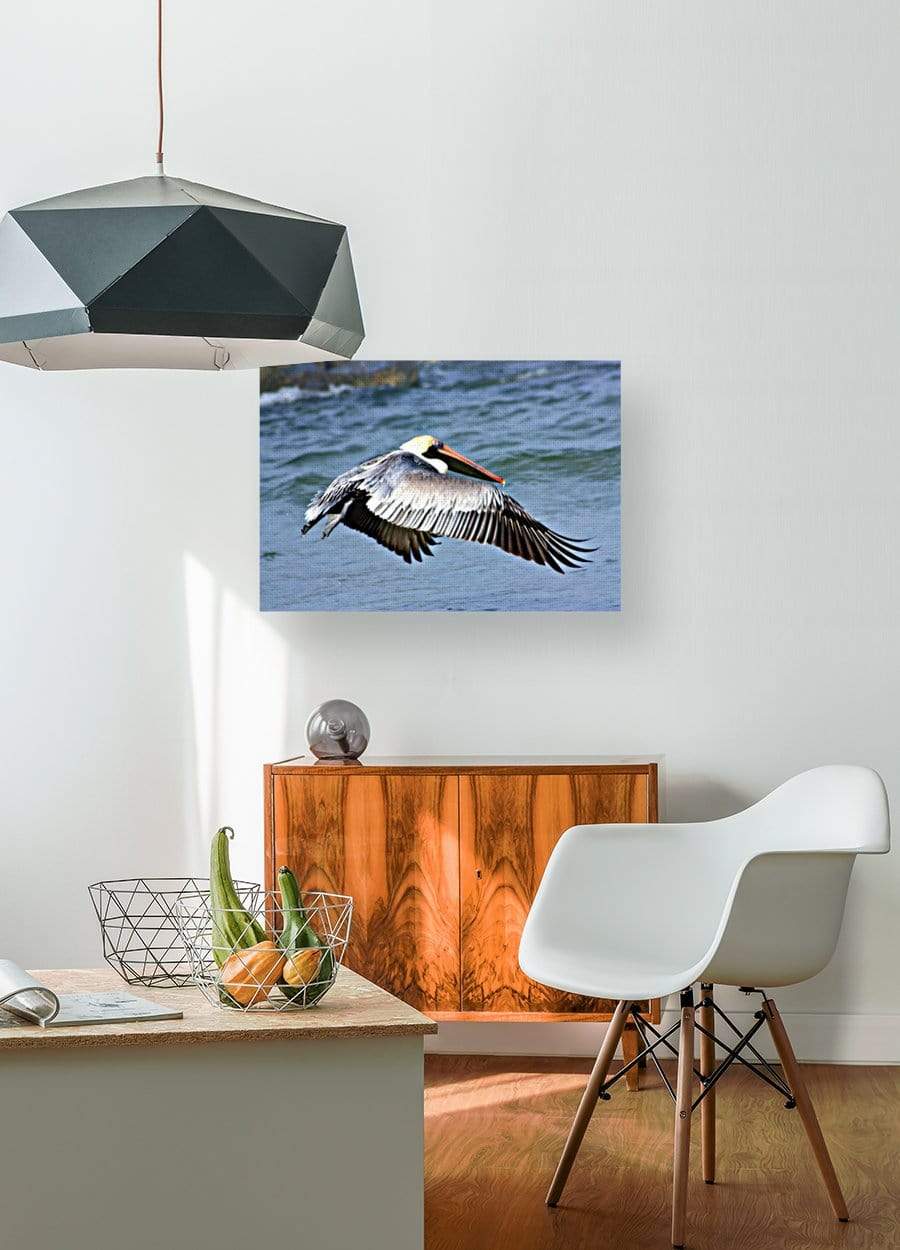 drewsrainbows Illustrations Flying Florida Pelican Like Picasso-Monet-van Gogh-Matisse