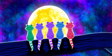 drewsrainbows Illustrations Raccoons and The Moon Like Picasso-Monet-van Gogh-Matisse