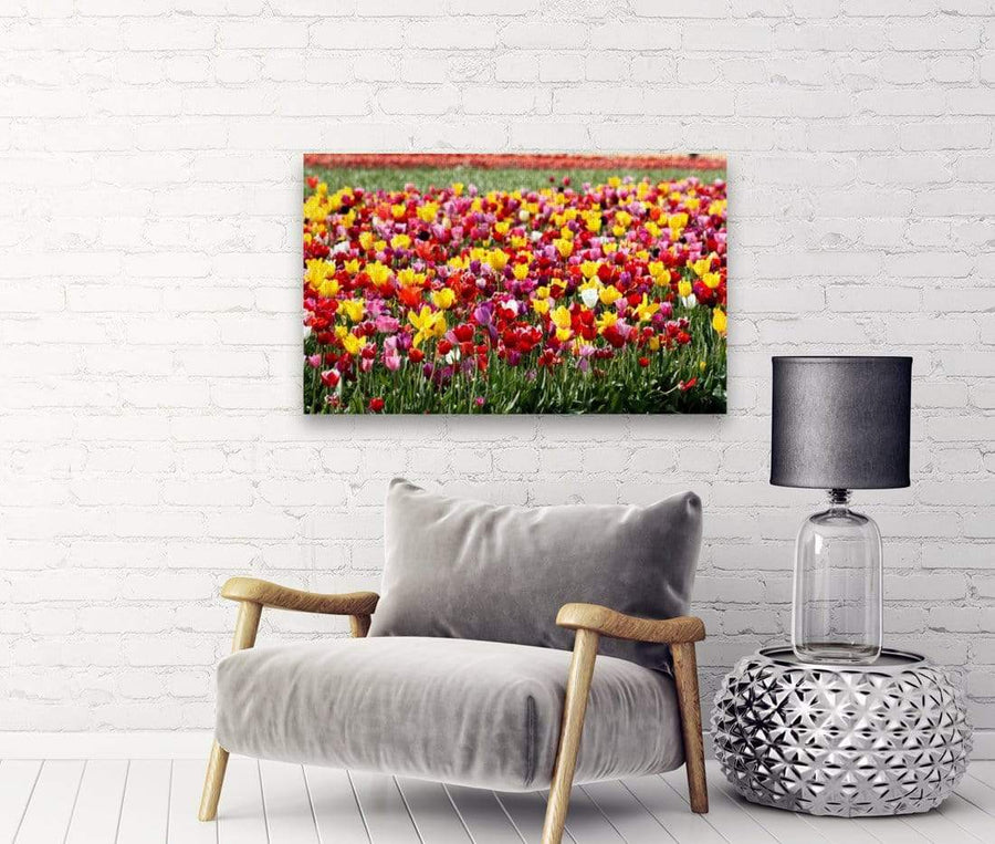 drewsrainbows Photography Rainbow of Tulips Like Picasso-Monet-van Gogh-Matisse