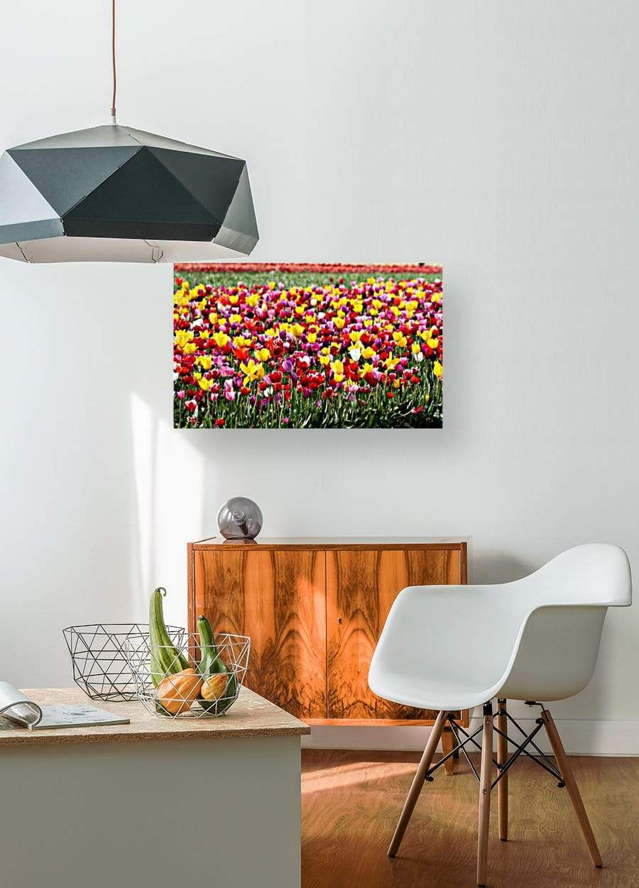 drewsrainbows Photography Rainbow of Tulips Like Picasso-Monet-van Gogh-Matisse