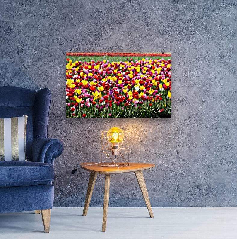 drewsrainbows Photography Rainbow of Tulips Like Picasso-Monet-van Gogh-Matisse